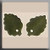 Medium Leaf Matte Olive / Mill Hill / 12144