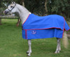 Winter Sahara Shell Canvas Rug  4'6/6'6 blue canvas 
