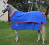 Winter Sahara Shell Canvas Rug  4'6/6'6 blue canvas 