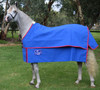 Winter Sahara Shell Canvas Rug  4'6/6'6 blue canvas 