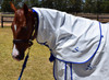 Summer Tearstop Paddock Neck Rug
