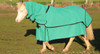 Winter Sahara Shell Canvas Combo sizes 2'9 to 3'9 blue canvas