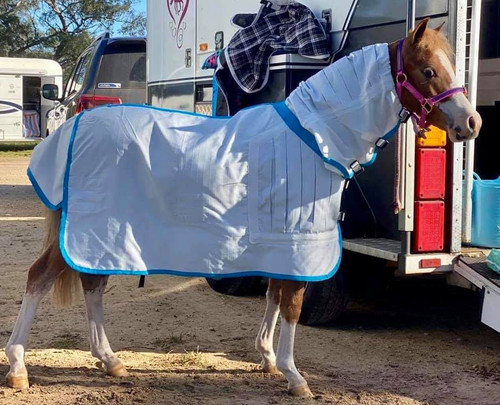 Summer Showstopper Combo 6'9 and up