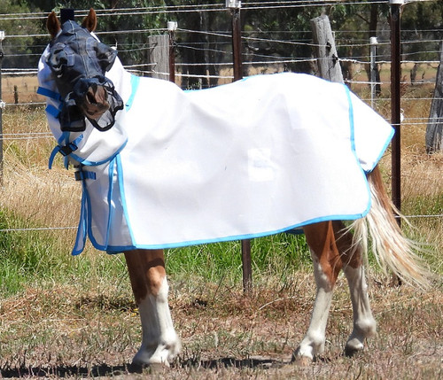 Summer Relief Mesh Combo 4'0 - 4'3