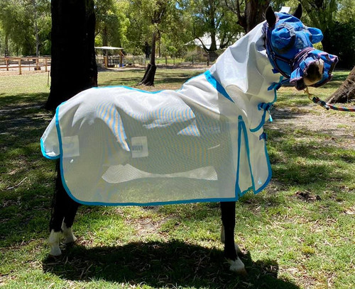 Summer Relief Mesh Combo size 4'3 aqua binding