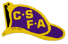 CSFA Helmet Stickers