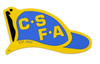 CSFA Helmet Stickers