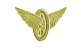 Hero's Pride Wheel & Wings, Lapel Pin, 1-5/16x1"