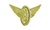 Hero's Pride Wheel & Wings, Lapel Pin, 1-5/16x1"