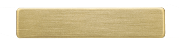 Phoenix PD Metal Name Tag