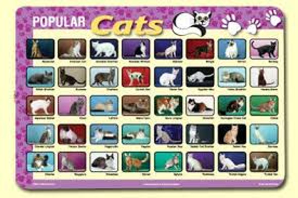 CATS PLACEMAT 17.5''X12''