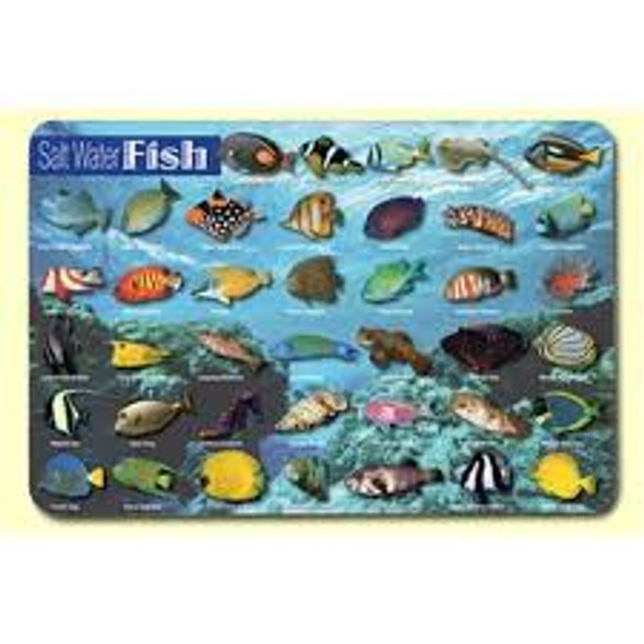 FRESH WATER FISH PLACEMAT 17.5''X12''