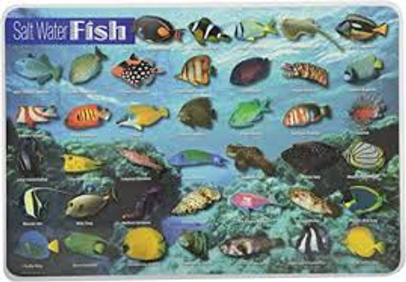 SALT WATER FISH PLACEMAT 17.5''X12''