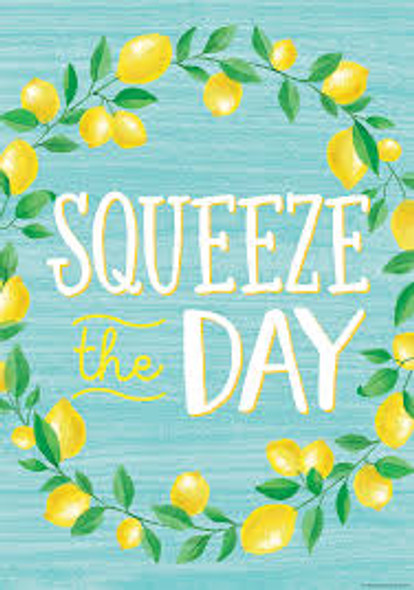 SQUEEZE THE DAY POSITIVE POSTER