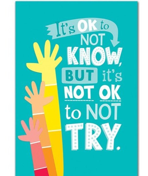 IT'S OK TO NOT KNOW POSTER