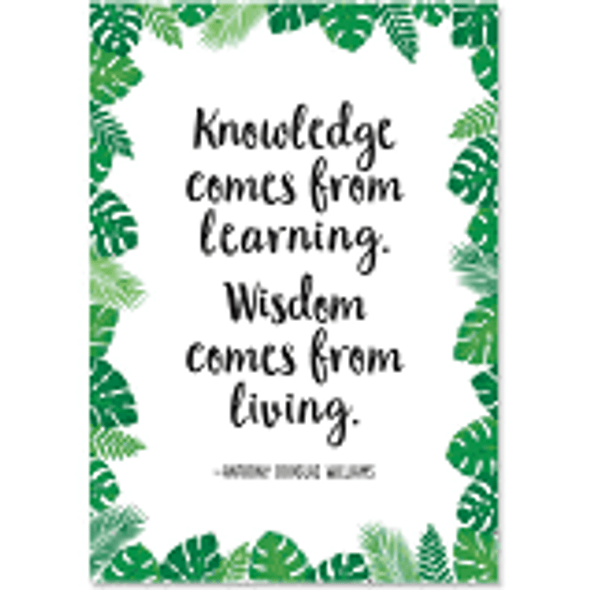 KNOWLEDGE COMES FROM LEARNING PALM PARADISE INSPIR