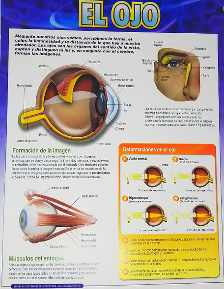 CARTEL EL OJO