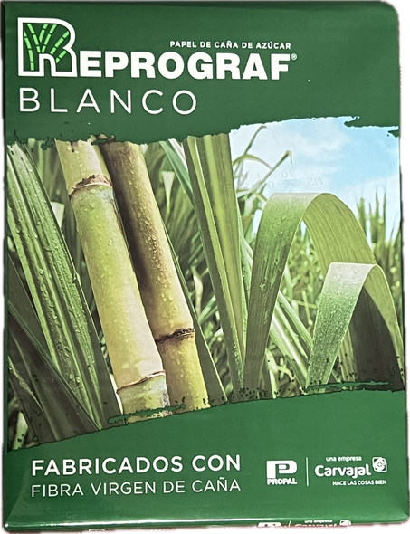 PAPEL COPIA 20LB 8.5" X 11"