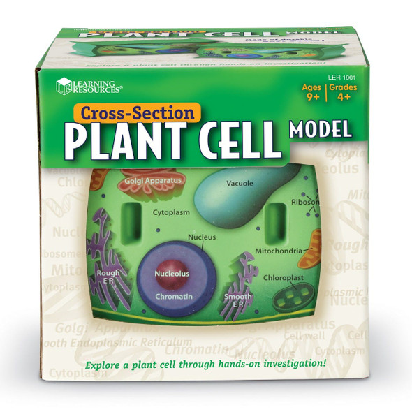 LER PLANT CELL SOFT FOAM #LER1901