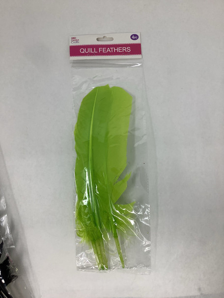 QUILL FEATHER 10"-12" 4PC LIGHT GREEN