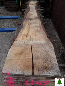 HARDWOOD WANEY EDGE / LIVE EDGE AIR DRIED BROWN ENGLISH OAK SLAB / TABLE TOP