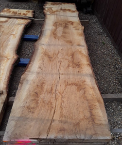 HARDWOOD SAWN WANEY EDGE / LIVE EDGE AIR DRIED BROWN ENGLISH PIPPY OAK SLAB / TABLE TOP