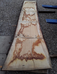 HARDWOOD SAWN AIR DRIED ENGLISH OAK WANEY EDGE / LIVE EDGE SLAB / BOARD / TABLE TOP HARDWOOD SAWN AIR DRIED ENGLISH OAK WANEY EDGE / LIVE EDGE SLAB / BOARD / TABLE TOP