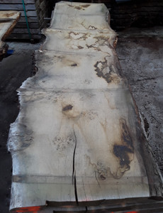 HARDWOOD AIR DRIED SAWN TIMBER WANEY EDGE / LIVE EDGE ENGLISH BURR OAK SLAB / TABLE TOP HARDWOOD AIR DRIED SAWN TIMBER WANEY EDGE / LIVE EDGE ENGLISH BURR OAK SLAB / TABLE TOP