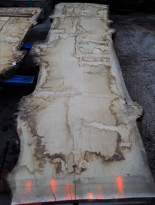 HARDWOOD AIR DRIED WANEY EDGE / LIVE EDGE ENGLISH BURR OAK SLAB / TABLE TOP HARDWOOD AIR DRIED WANEY EDGE / LIVE EDGE ENGLISH BURR OAK SLAB / TABLE TOP