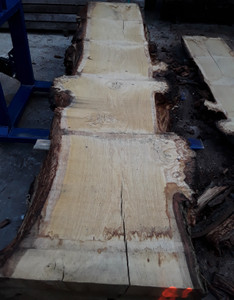 HARDWOOD TIMBER SAWN DRIED WANEY EDGE / LIVE EDGE ENGLISH BURR OAK SLAB / TABLE TOP HARDWOOD TIMBER SAWN DRIED WANEY EDGE / LIVE EDGE ENGLISH BURR OAK SLAB / TABLE TOP