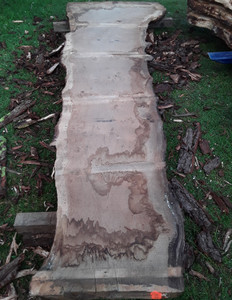 HARDWOOD TIMBER WANEY EDGE / LIVE EDGE SAWN AIR DRIED BURR / PIPPY ENGLISH OAK SLAB / TABLE TOP HARDWOOD TIMBER WANEY EDGE / LIVE EDGE SAWN AIR DRIED BURR / PIPPY ENGLISH OAK SLAB / TABLE TOP