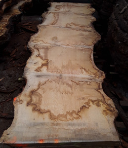 HARDWOOD SAWN DRIED TIMBER PIPPY / BURR WANEY EDGE / LIVE EDGE ENGLISH OAK SLAB / TABLE TOP HARDWOOD SAWN DRIED TIMBER PIPPY / BURR WANEY EDGE / LIVE EDGE ENGLISH OAK SLAB / TABLE TOP