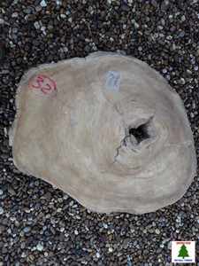 HARDWOOD KILN DRIED SAWN WANEY EDGE / LIVE EDGE BURMESE TEAK LOG SLICE / COOKIE HARDWOOD KILN DRIED SAWN WANEY EDGE / LIVE EDGE BURMESE TEAK LOG SLICE / COOKIE