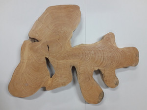 Hardwood Kiln Dried Timber African Green Thorn Log Slice / Cookie Hardwood Kiln Dried Timber African Green Thorn Log Slice / Cookie