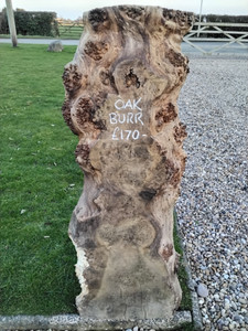 HARDWOOD AIR DRIED TIMBER WANEY EDGE / LIVE EDGE ENGLISH OAK BURR BOARD / SLAB HARDWOOD AIR DRIED TIMBER WANEY EDGE / LIVE EDGE ENGLISH OAK BURR BOARD / SLAB
