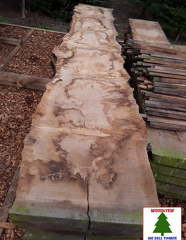 HARDWOOD TIMBER SAWN AIR DRIED WANEY EDGE / LIVE EDGE ENGLISH PIPPY OAK SLAB / BOARD
