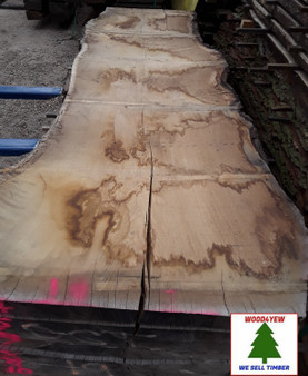 HARDWOOD AIR DRIED WANEY EDGE / LIVE EDGE TIMBER BURR / PIPPY ENGLISH OAK SLAB / TABLE TOP