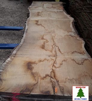 HARDWOOD SAWN TIMBER AIR DRIED WANEY EDGE / LIVE EDGE BURR / PIPPY ENGLISH OAK SLAB / TABLE TOP