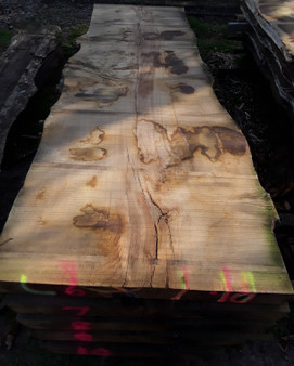 HARDWOOD SAWN DRIED TIMBER WANEY EDGE / LIVE EDGE ENGLISH CHESTNUT SLAB / TABLE TOP