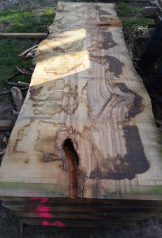 HARDWOOD SAWN DRIED WANEY EDGE / LIVE EDGE ENGLISH CHESTNUT SLAB / TABLE TOP