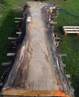 HARDWOOD WANEY EDGE / LIVE EDGE AIR DRIED SAWN TIMBER BURR / PIPPY OAK SLAB / TABLE TOP