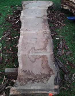 HARDWOOD TIMBER WANEY EDGE / LIVE EDGE SAWN AIR DRIED BURR / PIPPY ENGLISH OAK SLAB / TABLE TOP