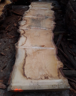 HARDWOOD SAWN AIR DRIED PIPPY / BURR WANEY EDGE / LIVE EDGE ENGLISH OAK SLAB / TABLE TOP