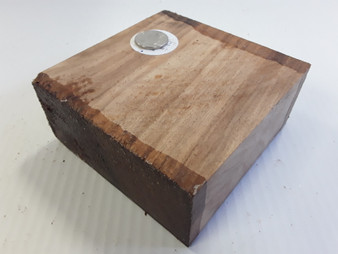 HARDWOOD TIMBER KILN DRIED AFRICAN KIAAT WOODTURNING BLANK / SQUARE * RARE *