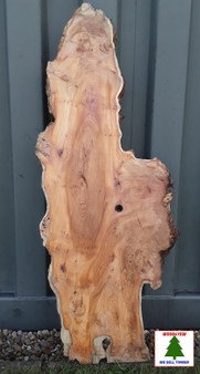 AIR DRIED SAWN CHARACTER WANEY EDGE / LIVE EDGE PIPPY YEW BOARD / PLANK OFFCUT