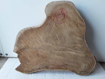 HARDWOOD SAWN KILN DRIED TIMBER WANEY EDGE / LIVE EDGE BURMESE TEAK LOG SLICE / COOKIE