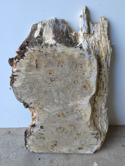 Hardwood Air Dried Sawn English Burr Oak Board Offcut