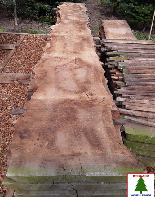 HARDWOOD TIMBER AIR DRIED SAWN WANEY EDGE / LIVE EDGE ENGLISH PIPPY OAK SLAB / BOARD