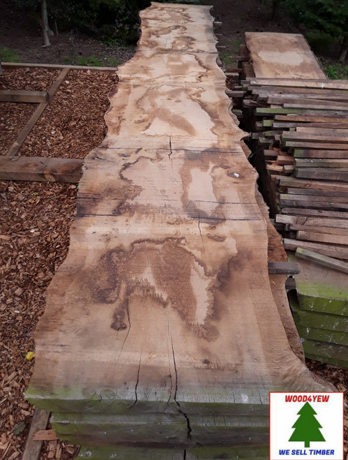 HARDWOOD TIMBER AIR DRIED WANEY EDGE / LIVE EDGE ENGLISH PIPPY OAK SLAB / BOARD