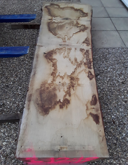 HARDWOOD SAWN ENGLISH OAK WANEY EDGE / LIVE EDGE SLAB / BOARD / TABLE TOP